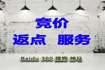 百度竞价赚钱的技巧与成功案例探讨